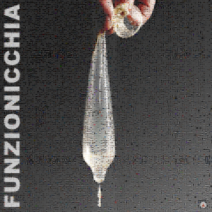#10 FUNZIONICCHIA